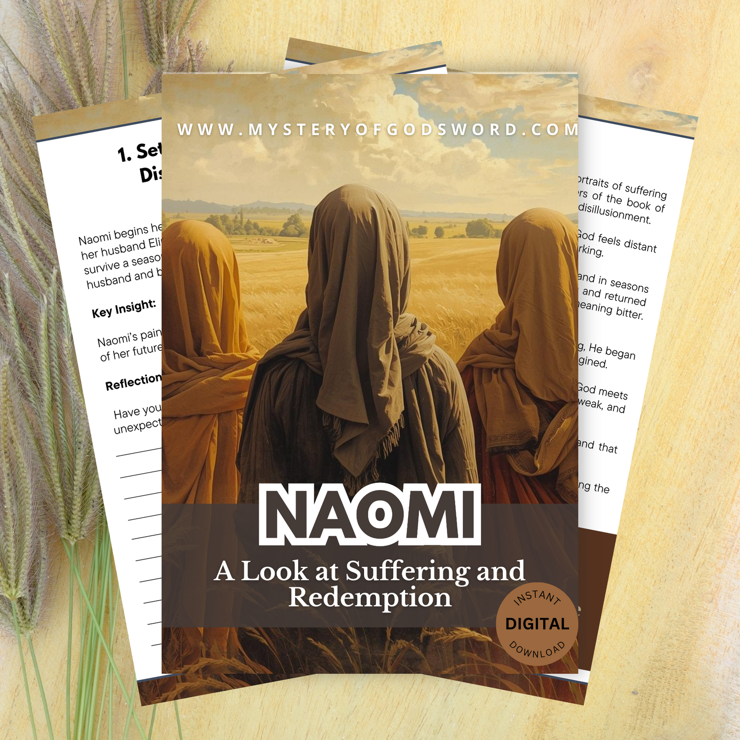Naomi | A Look at Suffering and Redemption