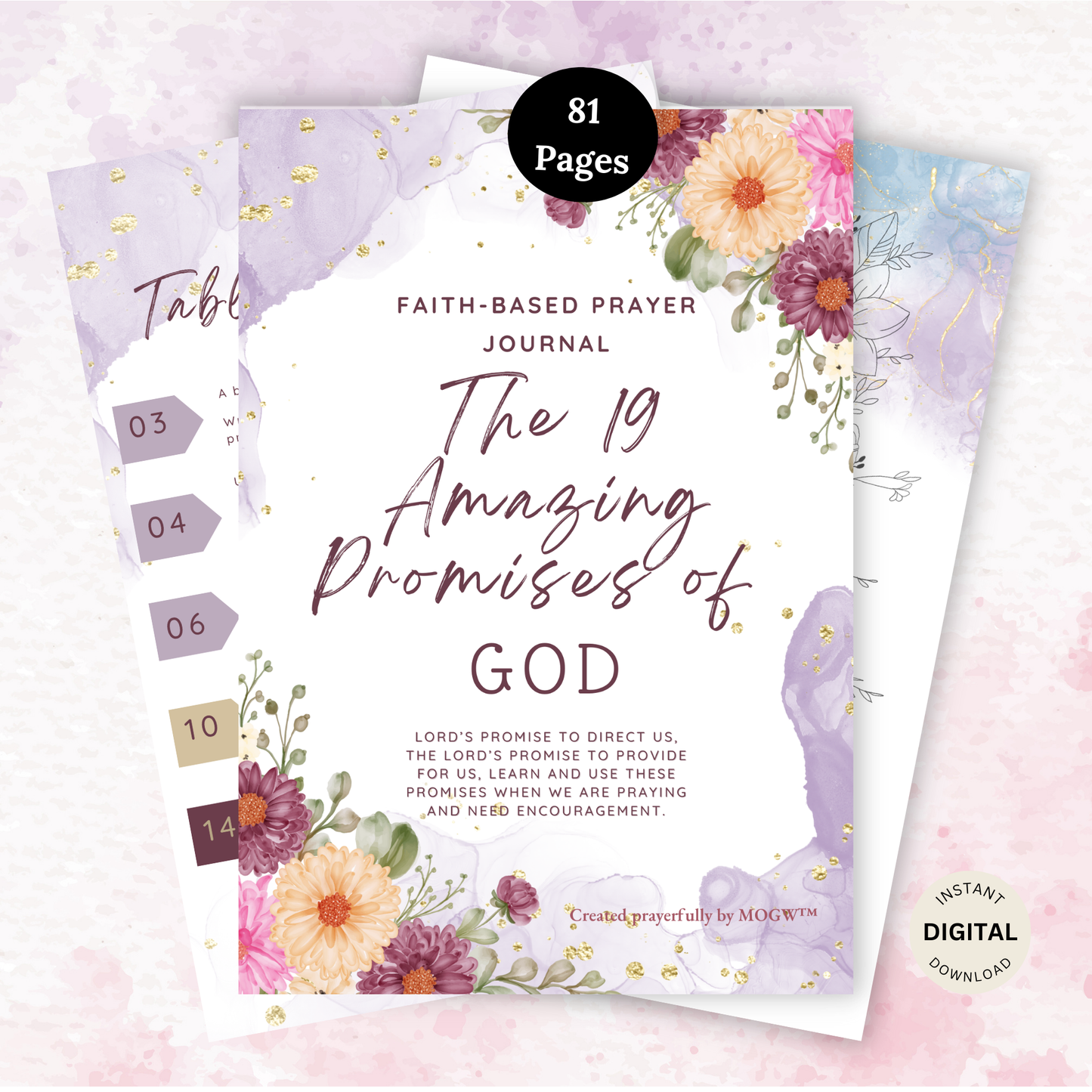 19 Amazing Promises of God Prayer Journal