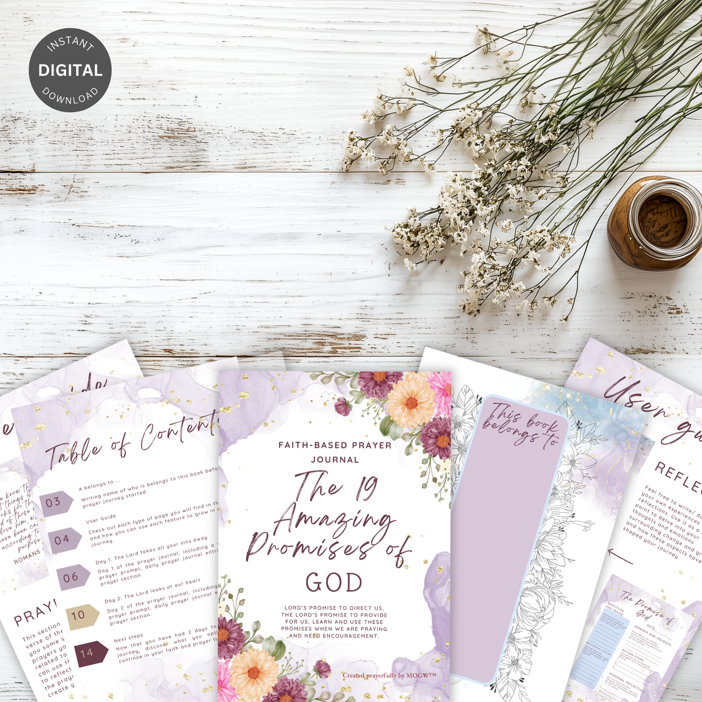 19 Amazing Promises of God Prayer Journal